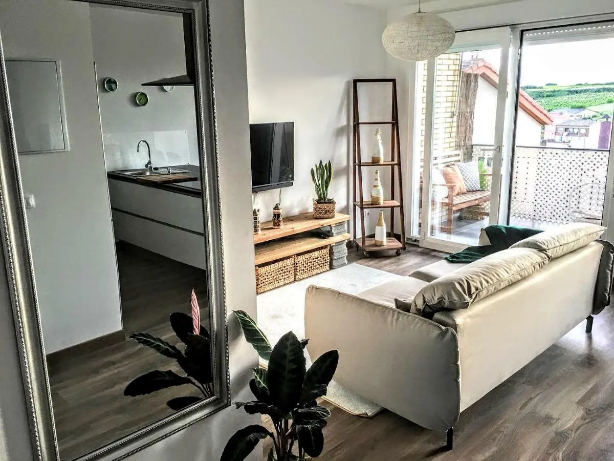 Apartamento Gaztainondoak Lanciego